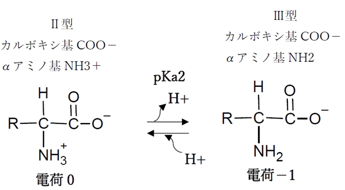 中性アミノ酸 pHの変化と解離,化学種の存在比(割合),荷電,等電点